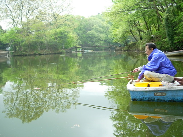 春のコレクション つり具の銭屋シマノ 朱紋峰 神威 21尺 かむい へら竿