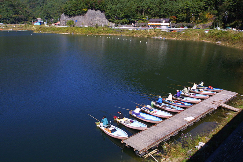 富士五湖の一つ、精進湖のへらぶな釣りです。精進湖は、富士五湖の中で、一番早くへらぶな釣りのポイントが開拓されました。湖の釣りの原点と言ってもいいところです。富士五湖は、ほかに西湖、山中湖、河口湖でもへら鮒が釣れます