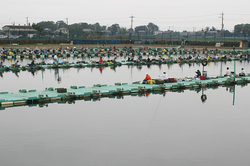 大型の釣り堀タイプの管理釣り場、羽生吉沼です。最深部は6m以上あります。40cmを超えるへらが多数放流され、自動検量機が設置されています