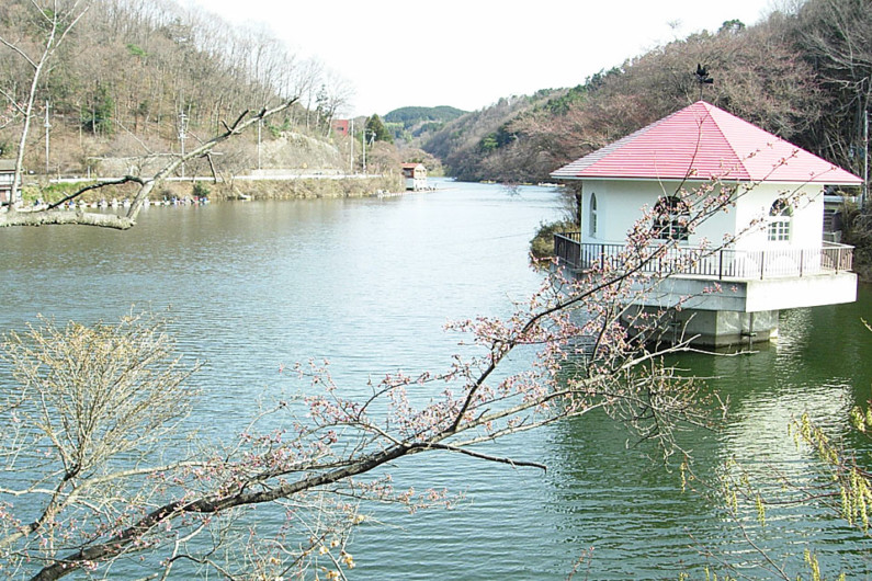 へらぶな釣りの聖地とも言える横利根川。第二カーブ、ポプラ前、看板前など、昔はたくさんの名ポイントがあり、夜明け前から釣り人が浮かんで夜明けを待っていました。その後、朝の出船時間が決められるようになりました