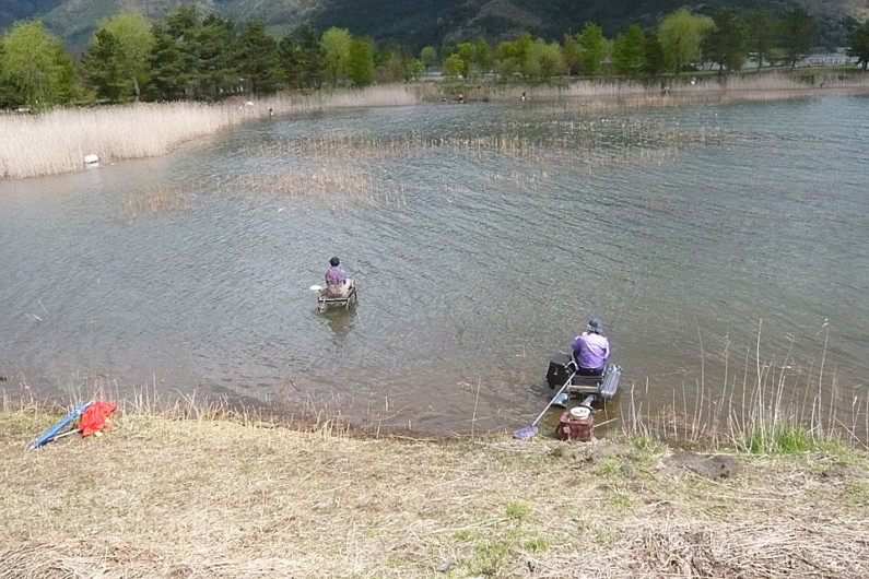 【レストラン花みずき前】　こちらも同じようなワンドですが、見て欲しいのは竿の長さ。浅場であることは写真からもわかりますが、18尺から21尺ぐらいの竿を使っています。野釣りでは、浅場で長竿というのはよくあります。日ごろ、管理釣り場で8尺や9尺ばかり振っていては、こういう釣りはできません