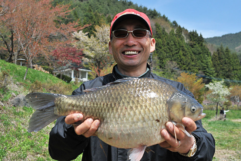 でっぷりと太った大型が河口湖のへら。管理釣り場のへらぶな釣りでは絶対に味わえない魅力があります